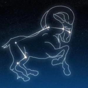 Meet your Posher, Maribel